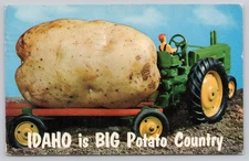 Vintage Idaho Big Potato Country Photochrome Postcard 1963