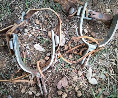 Vintage Crockett Renaldo Bronc Spurs