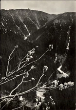 RPPC Krkono�e Sn�ka view vintage postcard b317