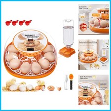 12 Egg Automatic Incubator with Transparent Lid  LED Display for Easy Hatching