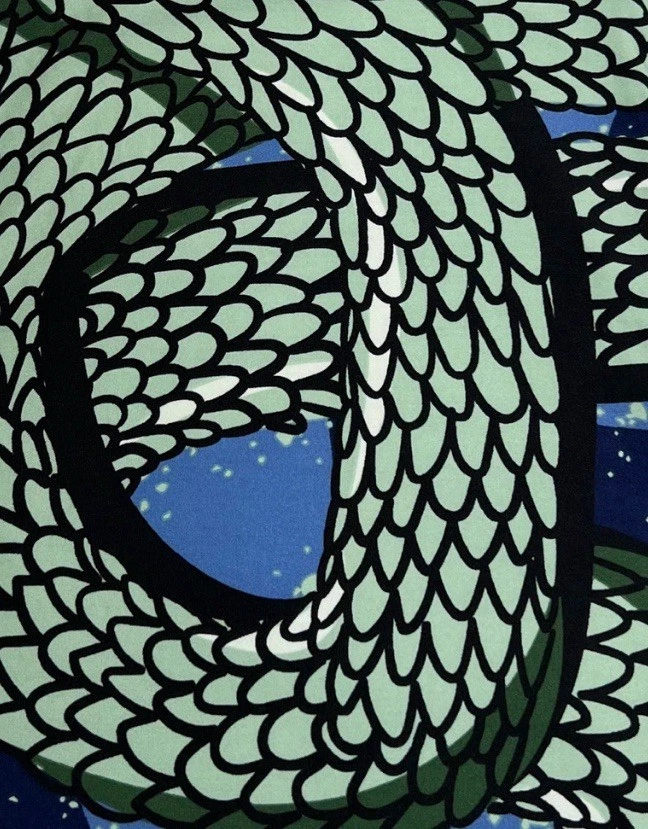 Leggings LuLaRoe TC2 Tall Curvy 2 raras HALLOWEEN animal cobra basilisco réptil - Imagem 2 de 4