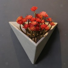 Wall Planter Flowerpot Planter Plant