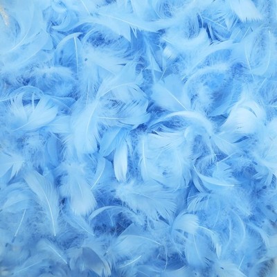 400 Pieces Light Blue Feathers, Small Natural Craft Feathers Bulk Assorted Co