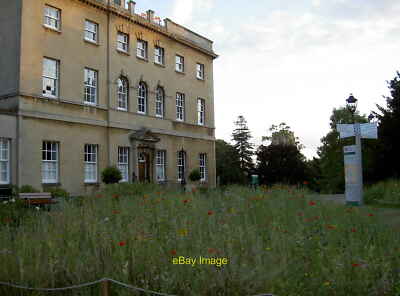 Foto 6x4 Royal Fort Haus und Garten Bristol einige Wildblumen Space Outs c2017