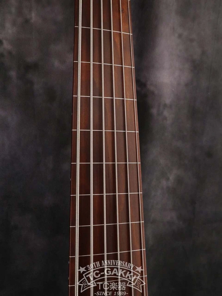 Roscoe SKB6 Заказная Безладовая 6-Струнная Бас-гитара Ручной Работы с Теплым Звуком Б/у - Изображение 3 из 4