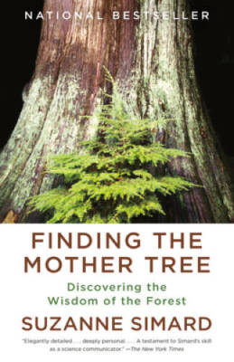 Finding the Mother Tree: Discovering the Wisdom of the Forest - Paperback - GOOD