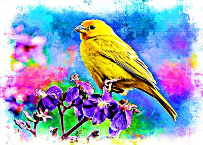 Yellow Canary (Animals) 2/25 Art ACEO Print Card By:Q