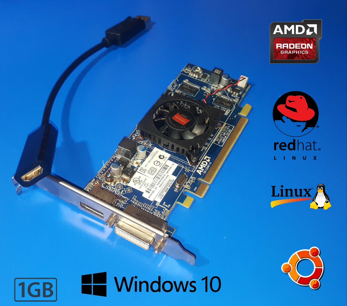 HP ProDesk 400 405 480 490 600 680 TOWER 1GB Video Graphics Card +HDMI Cable