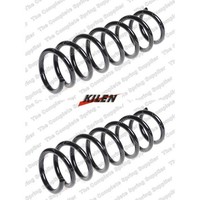 2X Fahrwerksfeder Kilen 51063 2 Federn Satz Federnsatz FüR BMW