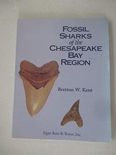 Fossil Sharks of the Chesapeake Bay Region