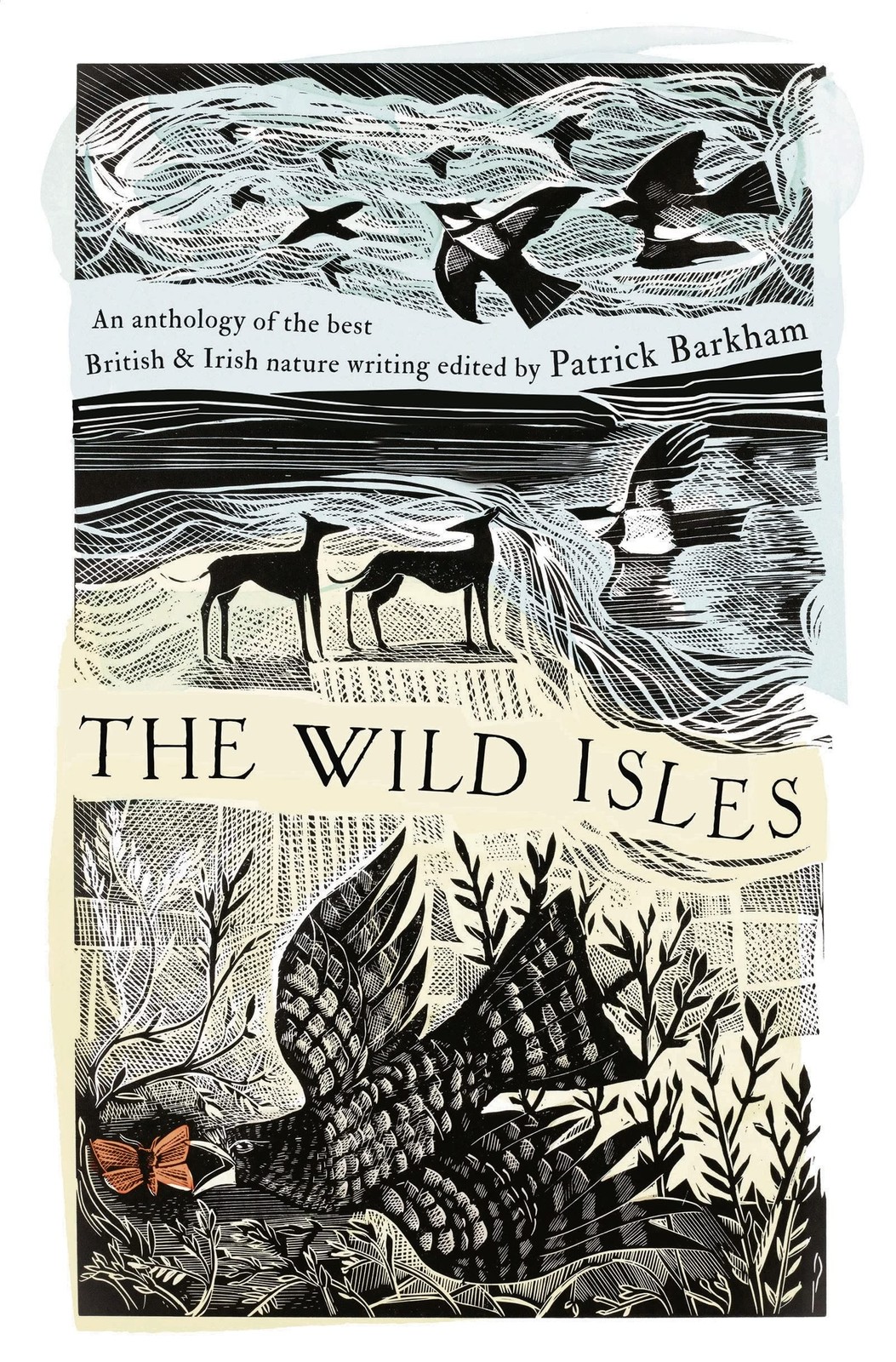 The Wild Isles by Patrick Barkham - 9781035924929 - Image 3