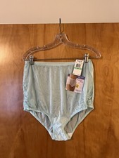 Vanity Fair Brief Panty Nylon Vintage 13001 Azure Mist Lace Trimmed NWT Size 8