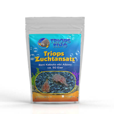 Triops Beni Kabuto ebi Albino Urzeitkrebse Zuchtansatz Triopseier mit Sand 