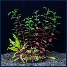 New Design Artificial Aquarium Decor Plants Plastic Aquatic Underwater Plants
