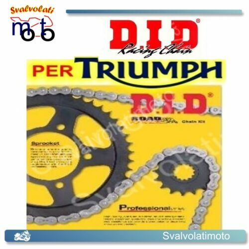 Kit carter portanumero Ducati Scrambler 800 - Urbano Bruni Moto