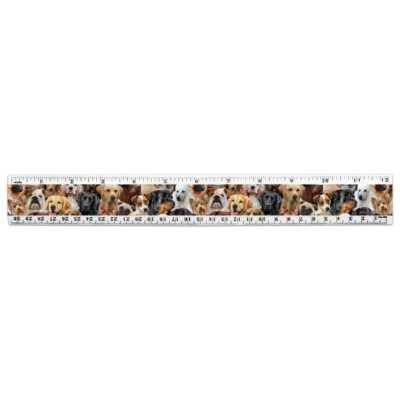 Dogs Speed Ruler Dogs Lab Retriever Dachshund Poodle Pattern 12