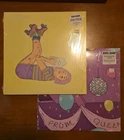 Beach Bunny - Honeymoon Light Blue LP Vinyl & Prom Queen EP pink Etched Lot Set