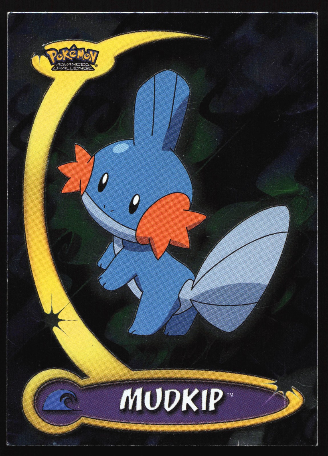 Mudkip 49 Topps Advanced Challenge TV Animation Blue Logo Holo Foil Pokemon Card