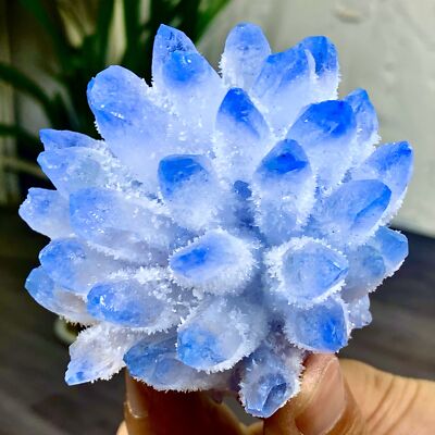 347G New Find BLUE PhantomQuartz Crystal Cluster MineralSpecimen