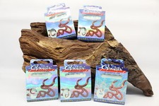 Gamakatsu 5260R Worms Tauwurm Haken Rot Gr.1 2 4 6 8 10 12 Länge 75cm NEW