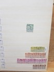 Foto 8 di 24