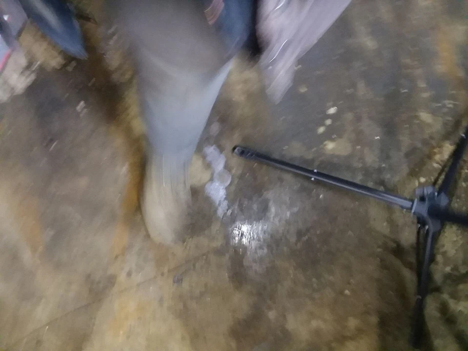 Frenos traseros para 07-12 LEXUS ES350 2056143 Foto 2 de 4