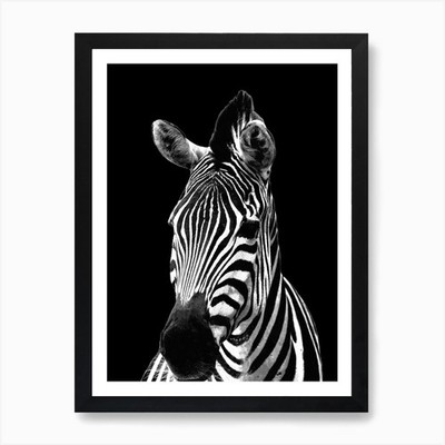 Schwarzweiß Zebra Kunstdruck gerahmt Wandbild Poster Leinwanddruck Bild