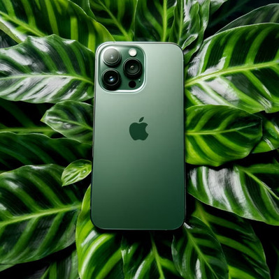 Apple iPhone 13 - 256 GB - Green (Unlocked)