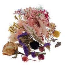 1Box Pressed Leaves Natural Dried Flowers Scrapbooking Card Making