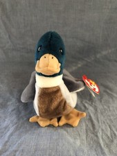 Jake TY Beanie Baby (With Errors)
