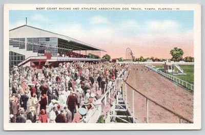Tampa FL West Coast Dog Track Grandstand Crowd 1940s E.C. Kropp Postcard