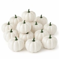 KüRbis Deko Halloween Herbst Tischdeko Weiß Basteln Kinder 12 StüCk