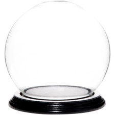 Plymor 5" x 6" Glass Display Dome Globe Cloche Black Wood Veneer Base 
