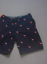 Forever 21 shorts men's 36” Chino Casual flex Beach Flamingo Tropical print