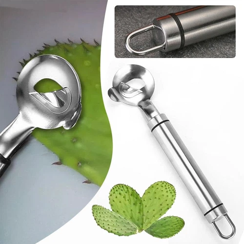 Giant Ben Food Grater Pelador Spoon Cactus Peeler Pelador Cuchara Pelador En