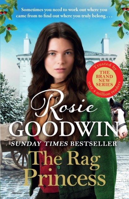 The Rag Princess by Rosie Goodwin (Hardback Book)