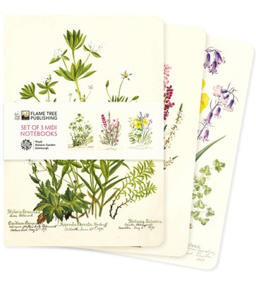 Royal Botanic Garden Edinburgh Set of 3 MIDI Notebooks | Flame Tree Publishing
