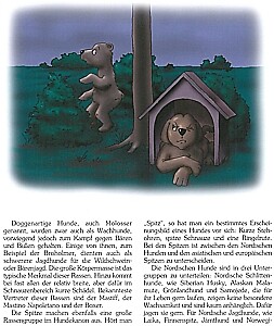 Thumbnail - Rehage: Lassie, Rex & Co Klären Auf Wege Zur Hunde-erziehung