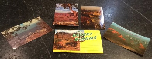 VTG THE DESERT BLOOMS ARIZONA SOUVENIR FOLDER + 4 Postcards Grand Canyon, Sedona - Picture 1 of 9