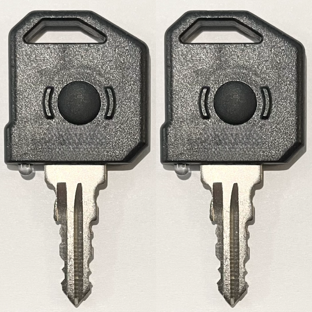 Pair Of Global Link OEM Precut PURPLE RV Camper Keys – G342 Style 2 Keys Included