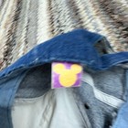 Bild 9 von 11