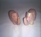 Picture 5 of 14