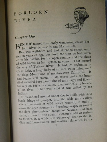 Zane Grey, Forlorn River "Harper & Brothers" 1927 1st Edition With Jacket - Picture 10 of 12