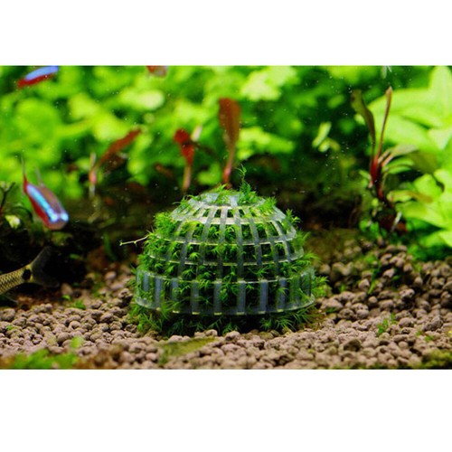 Maceta acuática musgo bolas minerales contenedor de cultivo acuario pecera - Imagen 3 de 11