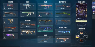 Valorant Full access Account -EU Account Value 1.500   (PC) 350  VB