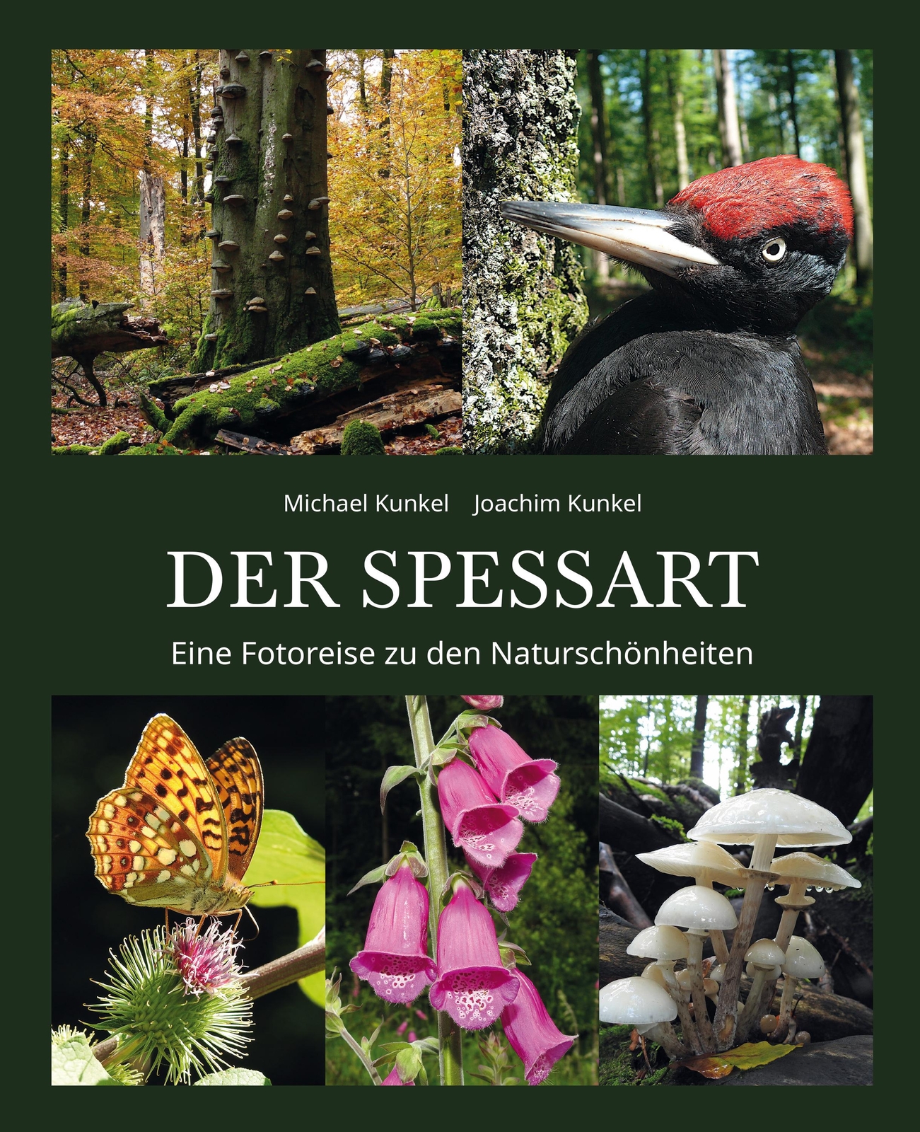 Thumbnail - Der Spessart Joachim Kunkel