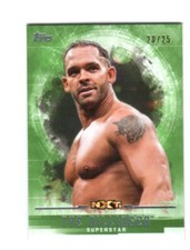 WWE Tye Dillinger #59 2017 Topps Undisputed Green Parallel Card SN 20 of 25