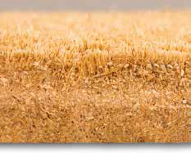 Sänger Kokosmatte Türmatte Kokosvelour-Matte Fußmatte wetterfest Schuhabtreter - Bild 3 von 4
