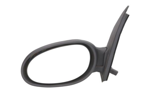 Left BLIC 5402-02-2002923P Exterior Mirror for SMART