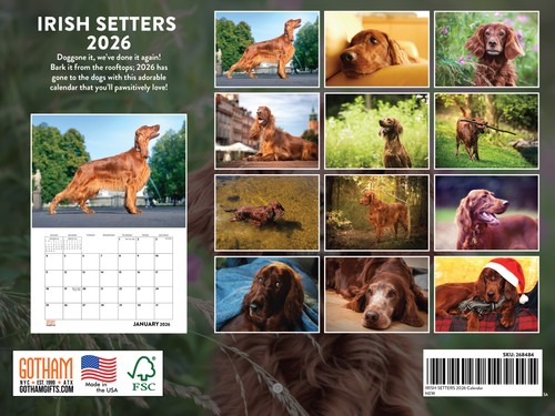 Irish Setter Calendar 2026 Monthly Wall Calender 12 Month Made In The USA - Picture 2 of 6